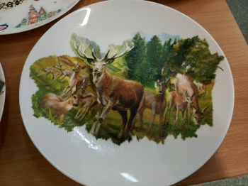 1a099999-bbc6-4854-a787-cd0a248e417e