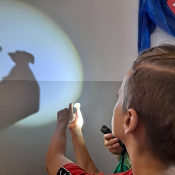 a5017a71-0575-44c0-b111-4228f3a7f5ef