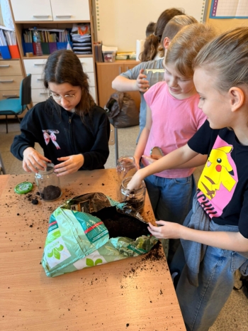 4f35474f-a199-428f-87b2-4770ca3d43f7