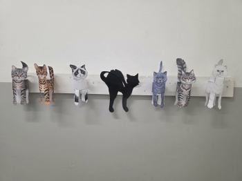 f6337d27-cbd6-45e4-bc8a-d44c077c938f.jfif