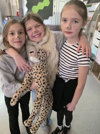 ff2562fd-de77-4a4e-902d-ff6ad3ca9a9e.jfif