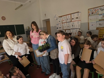 0250c561-d073-441e-a91f-70f5de765c94.jfif