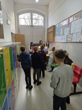 01cbcd96-4f48-4fab-86dc-f97864be1d3e.jfif