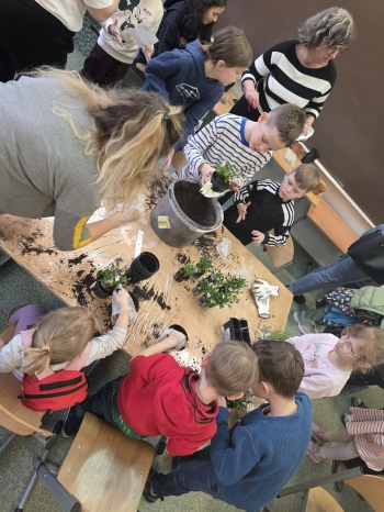 2f6c7c73-0e29-40bf-8255-d8065e4ea9ed.jfif