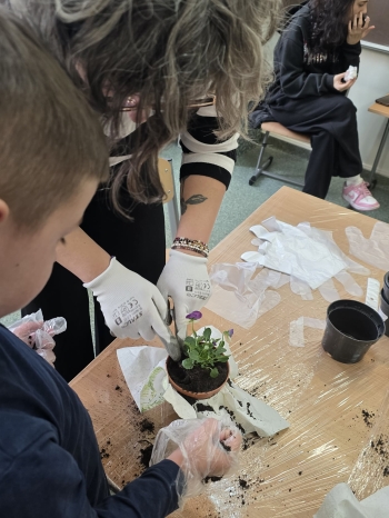 6dec520e-e5a2-47de-b5ac-ec44a79ba78f.jfif