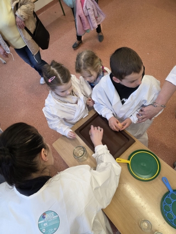 6f12362c-6b67-4b7e-97d2-306316d883a0.jfif