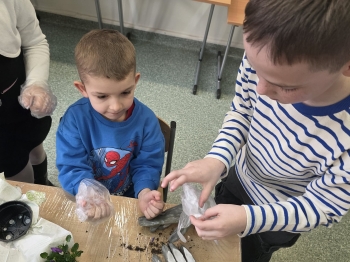 6fab573e-cf59-444c-a8ae-d51c5fe580b6.jfif