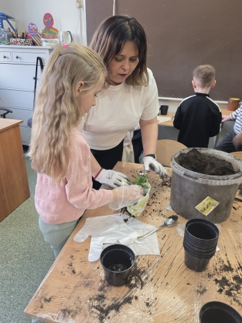 7c0cf4f3-2a23-40bb-9392-c09e675d686c.jfif