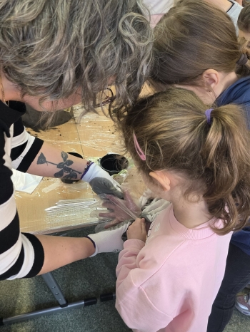 09ee869d-698d-448b-932d-8d618d3ea035.jfif