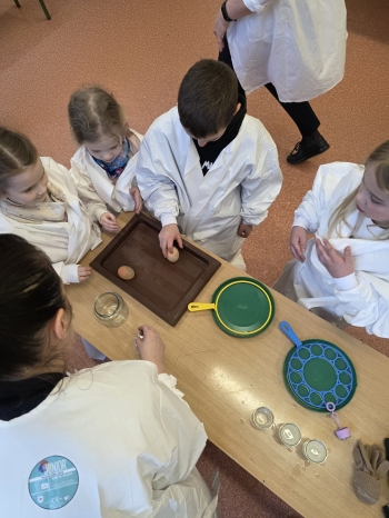 9abac11e-6b39-4b99-b373-798bd799abfc.jfif