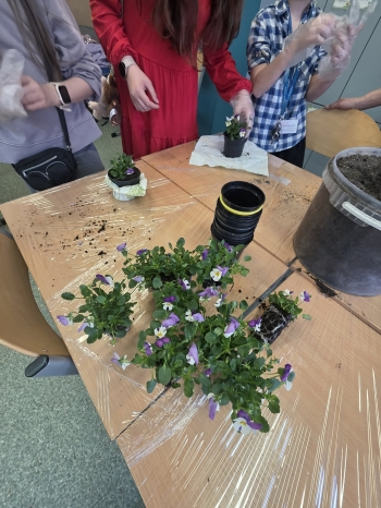 9f19faf0-20f4-4967-97db-bcff98f86142.jfif