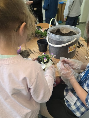 47c02375-9d5c-4744-b9d1-5c64936f6ddc.jfif