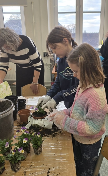 69d461df-d546-4261-bc62-ece2db86c994.jfif