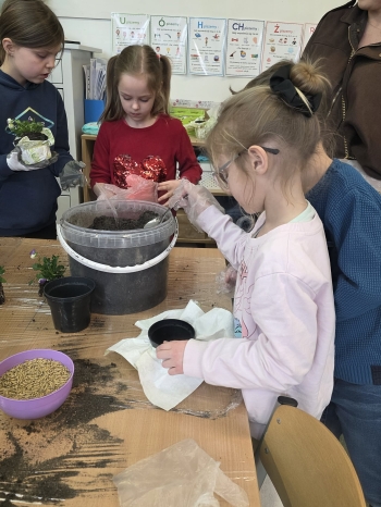 212e6b97-4ffb-4727-aa22-6d4819eb7358.jfif