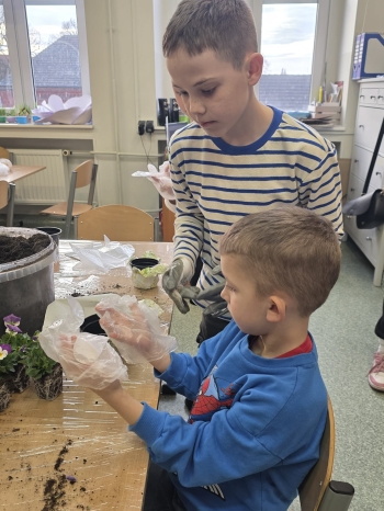 529ad377-5834-4962-8d3d-85243e87d559.jfif