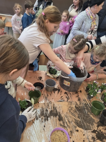 797299a9-73f3-4035-b13e-0784a7bc6d9e.jfif