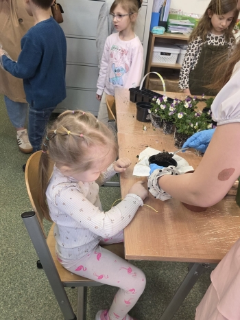 b442c1a1-2afb-407f-8631-12d4330fa9b0.jfif