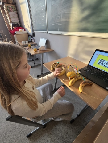 cfcf3823-5d68-4b32-bcf5-5f4511f84274.jfif