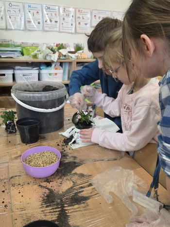 d44717e9-fdd8-4cb8-b2fa-c1c1cfeba0e9.jfif