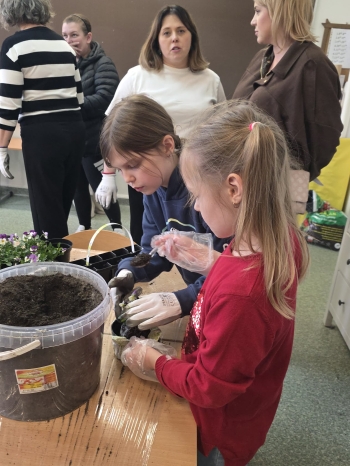 e4a161f2-3727-4629-9ec0-40cdd3f88da3.jfif