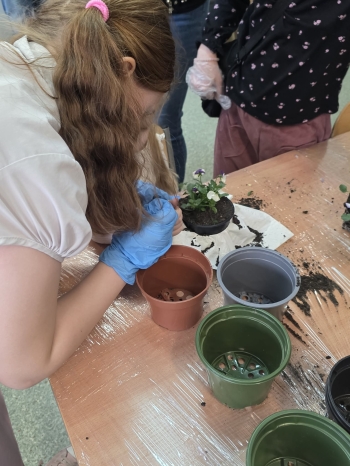 e734eecc-d676-4908-ad3d-23d710d4f50a.jfif