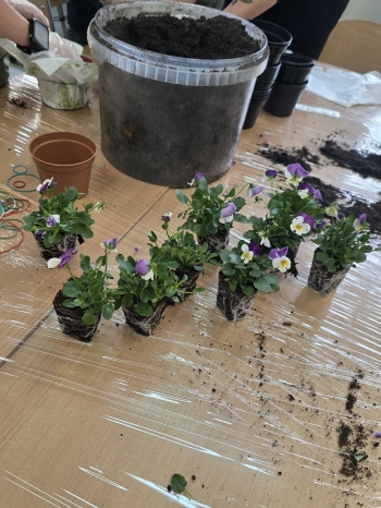 f40a51f7-55fc-428f-97e3-c7e57e16c800.jfif