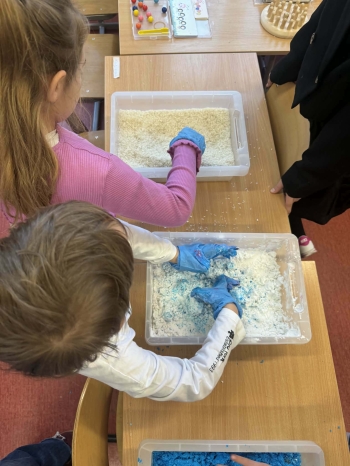 6f94381e-2ece-4960-b87e-e8d4addba7c0.jfif