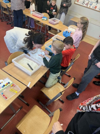 572debca-13d5-4805-9b7a-f65530dc47ce.jfif