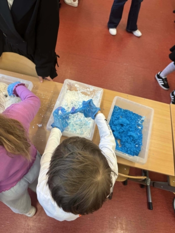 a4a92043-0558-4f11-be14-5d7dd9c5ae7c.jfif