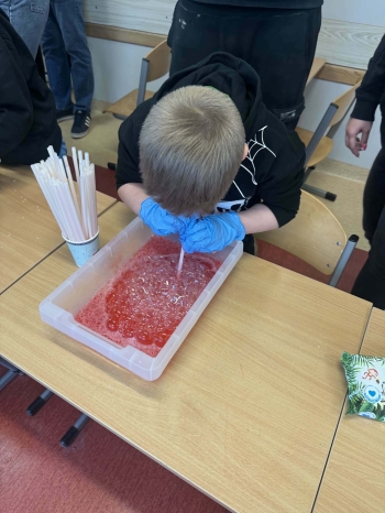 8213c620-7a1a-4943-83bd-7647efe6b195.jfif