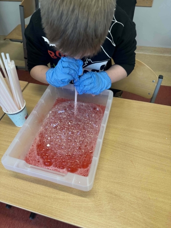 c4254ea4-ca40-42eb-a585-223b2ea01e1a.jfif