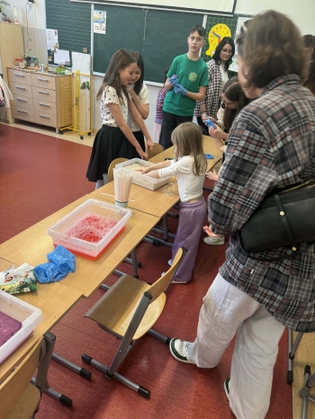 e86bdb07-eff1-49d4-a567-1e0d8c0ac2a8.jfif