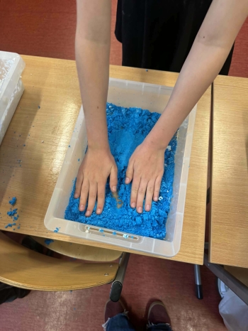 f65ffbbd-7b4f-41e3-bd33-1751f3ae0184.jfif