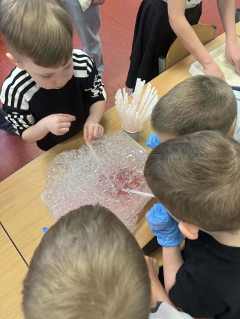 f499e8fc-7128-491b-aada-5bac0cb1cb82.jfif