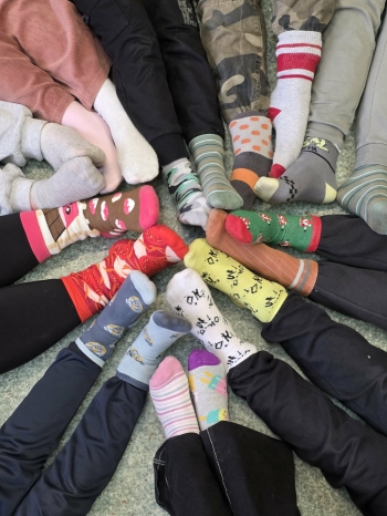 78727d7f-bee0-4ae8-93d0-077b3a206daf.jfif