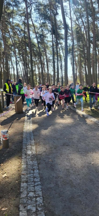 9bd5b90a-fdf9-44b6-8d14-306c7fb14384.jfif