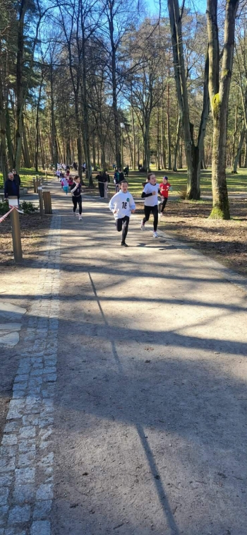 388e4c77-14a2-48a4-903a-afd8500f4c52.jfif