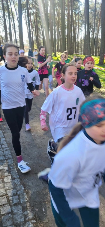 c9b3cd09-cbbb-4a13-aedc-e2169f80899d.jfif