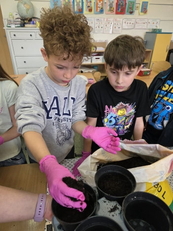 6c351b6d-83db-4d00-858e-c6f3411d144f.jfif