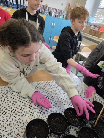 6ef3ff94-8156-413d-9619-3a7ceb2c6098.jfif