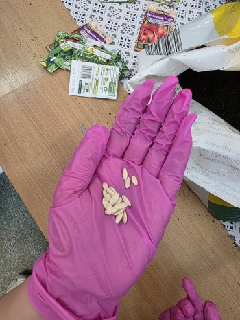 24e1e3de-24a7-49d8-82a4-2d1d3a1b54d0.jfif