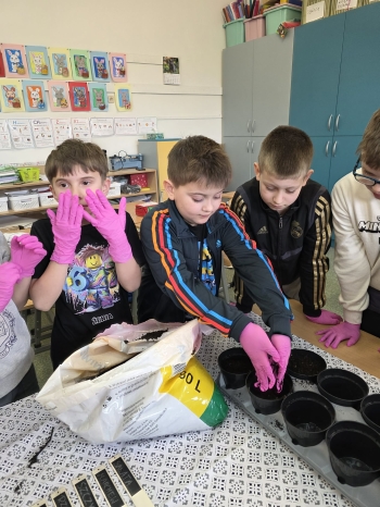 55b4750b-b05d-413b-a37d-d164084e8d2a.jfif