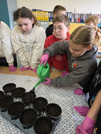 82dfa418-6742-41ac-a1fd-e13c2f263811.jfif