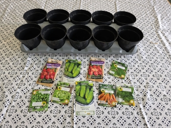 918ce324-2cca-4a99-ab66-7e002b4cba85.jfif