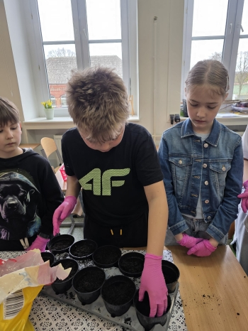 5596ad53-2cd9-4c63-ba61-a76f1950a61e.jfif