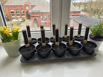 261583ff-50e4-4520-a771-dc74a2f4c32d.jfif