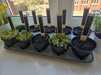 d354ab71-db8d-4b07-87c4-b2e029da781f.jfif