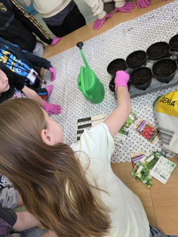 f4d4dc1f-2a72-481c-9824-ab2e0dd89c9f.jfif