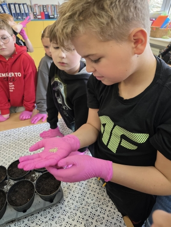 fb542eea-eb38-4d30-acbb-bd5ce9c7560c.jfif