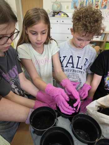 ff326a52-8365-4153-9da9-8ab072473e9d.jfif